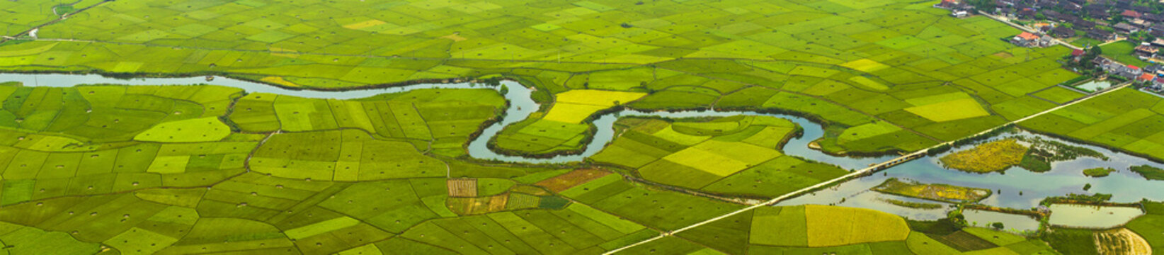 Colorful rice field in valley in Bac Son, Lang Son, Vietnam