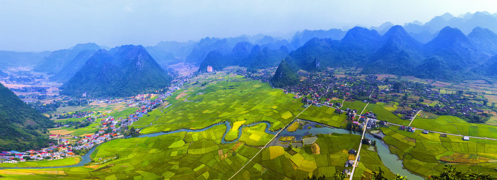 Colorful rice field in valley in Bac Son, Lang Son, Vietnam