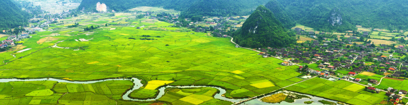 Colorful rice field in valley in Bac Son, Lang Son, Vietnam