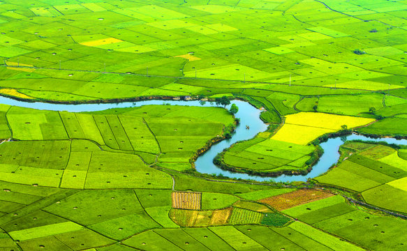 Colorful rice field in valley in Bac Son, Lang Son, Vietnam