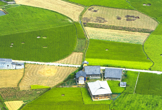Colorful rice field in valley in Bac Son, Lang Son, Vietnam