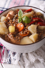 brown lentil soup with vegetables and meat close up. vertical

