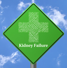 Kidney Failure Indicates Lack Of Success And Affliction