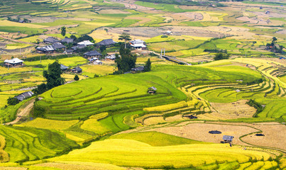 Rice fields on terraced of Mu Cang Chai, YenBai, Vietnam. Rice fields prepare the harvest at Northwest Vietnam.Vietnam landscapes.