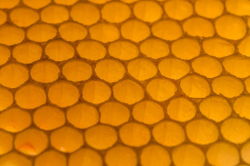 Honeycomb