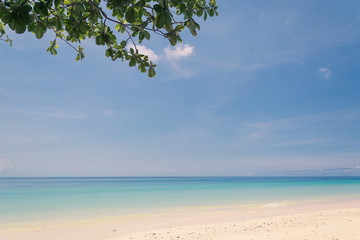 Fototapeta na wymiar blue sky with beach sea and leaf - soft focus with film filter