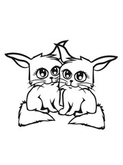 2 cute sweet little baby kitten couple