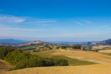 Fototapeta na wymiar Paesaggio tipico rurale della toscana