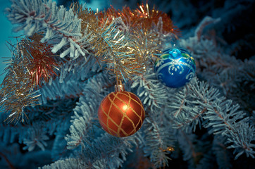 Christmas Tree Branch