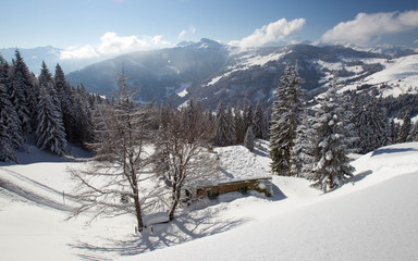 Winter am Markbachjoch