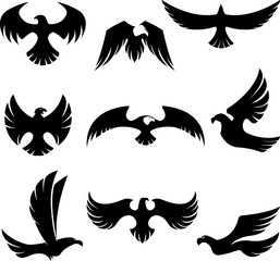Hawk symbol