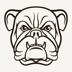 Bulldog 003