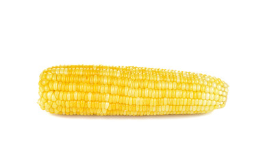 Boiled corn on white background