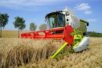 Fototapeta premium Mähdrescher bei der Getreideernte