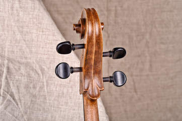 Close up of the head of a cello