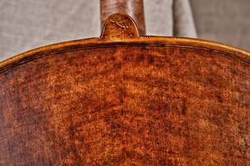 close up of a violoncello back