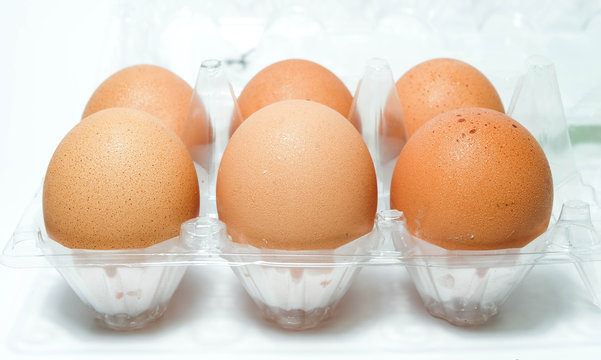 close up eggs in a plastic container