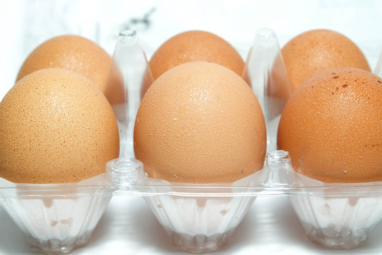 close up eggs in a plastic container