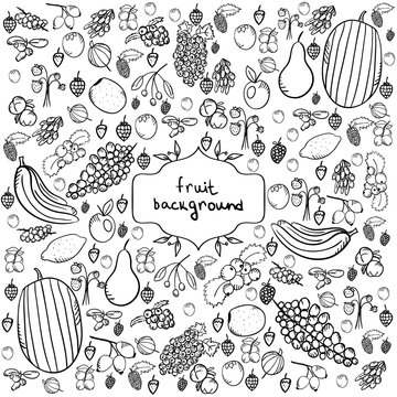 fruit  background