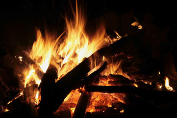 Obraz premium Tongue of flame campfire in the night