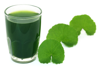 Medicinal thankuni leaves with extract