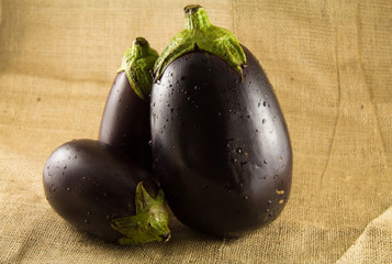 Eggplant on juta sack