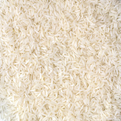 rice grain (jasmine rice)