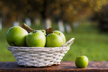 Apples in a basket