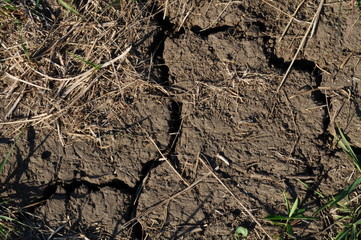 ground with cracks