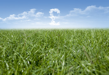 Green grass and Pound currency shaped clouds