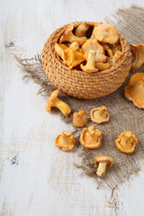 Chanterelles