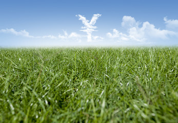 Green grass and Yen currency shaped clouds