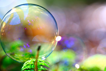 unusual bubble background nature