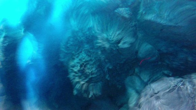 Underwater Scene, 4k
