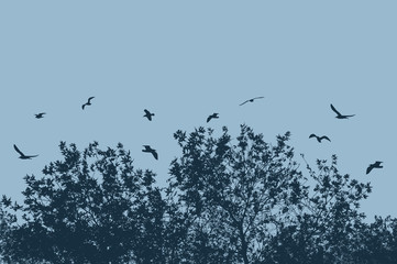 Tree and branches with flying birds