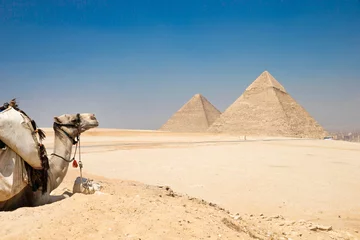 Papier Peint photo autocollant Egypte pyramids of Giza in Cairo, Egypt.