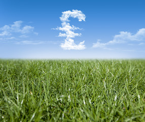 Obraz na płótnie Canvas Green grass and Italian Lira currency shaped clouds