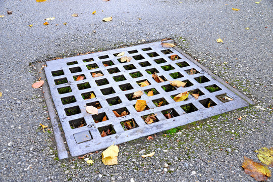 Kanaldeckel mit Herbstlaub