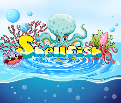 Sea animals in the ocean