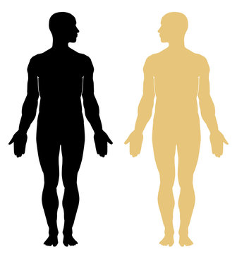 Man body silhouette