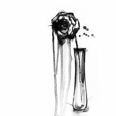 illustration of flowers in watercolor paintings on the white background. Hand painted illustration