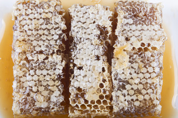 honeycomb with honey on a white background