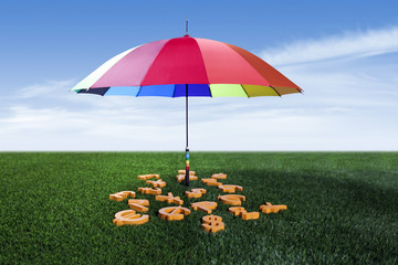 Currency units under the colourful umbrella on green grass
