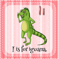 Letter I is for iguana