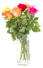 roses in vase isolated on white