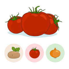 Icons Tomatoes, Potato, Onion
