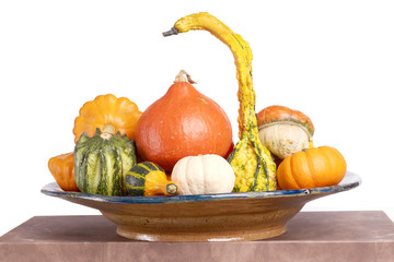 Gourd family.