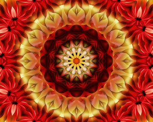 Floral mandala beautiful design