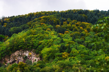 Fototapeta na wymiar Beautiful colorized autumn hills in Alsace