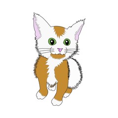 Cute kitten